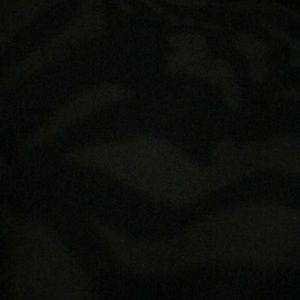 Meet your Posher, Belen